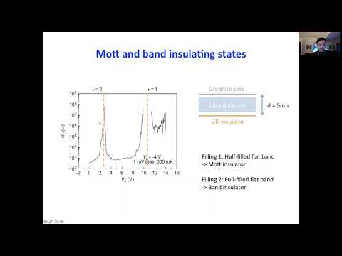 Quantum oscillations in 2D insulators induced by graphite gates